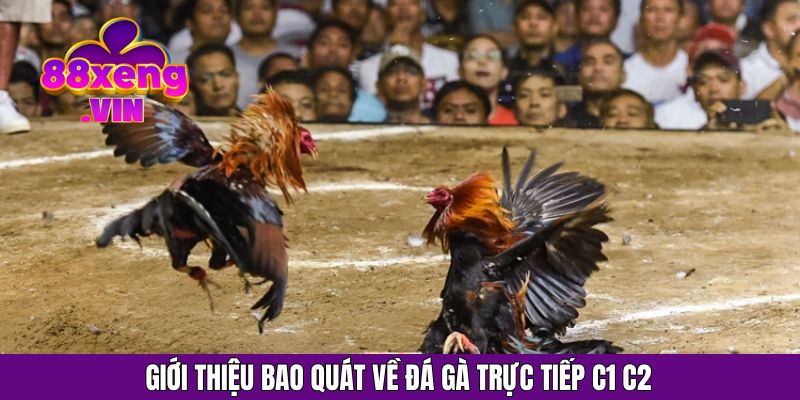 Giới thiệu bao quát về đá gà trực tiếp c1 c2