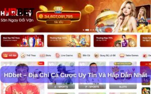 HDbet là gì? Tổng quan về nhà cái HDbet